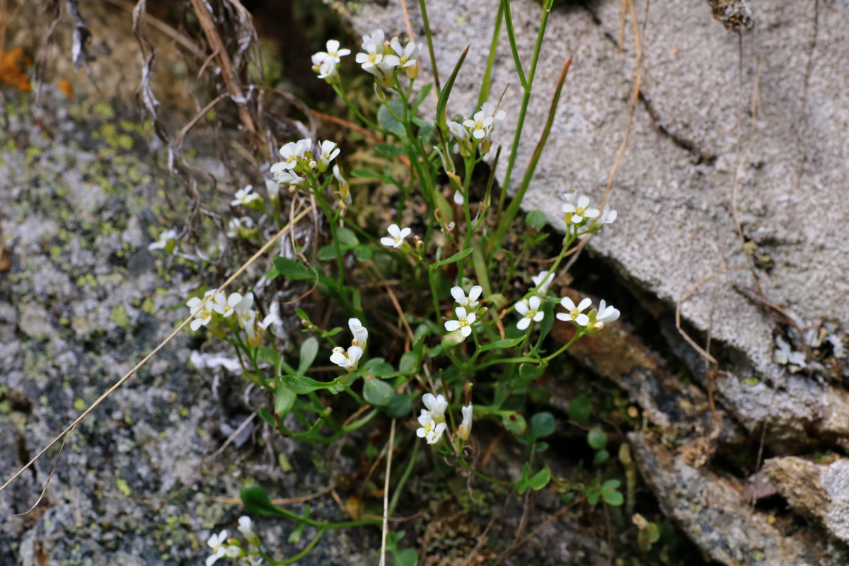 2015_06_14_002985p_Bildgr��e �ndern