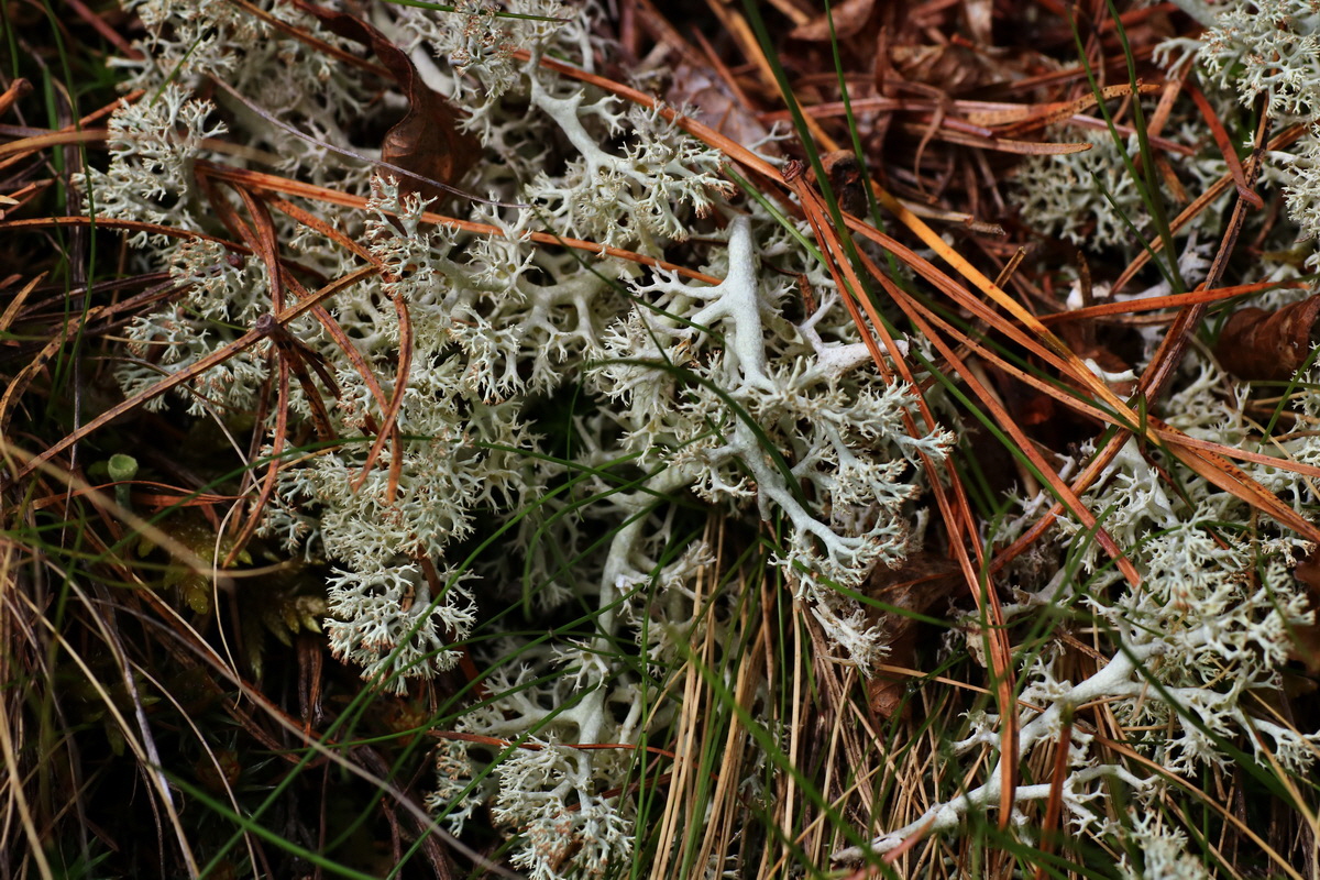 2015_06_14_002988p_Bildgr��e �ndern