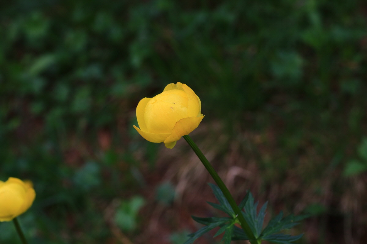 2015_06_14_002995_Bildgr��e �ndern