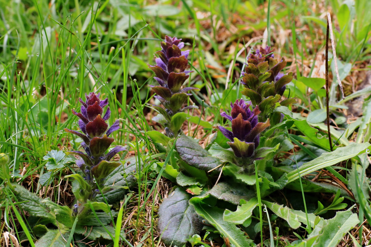 2015_06_14_002999p_Bildgr��e �ndern