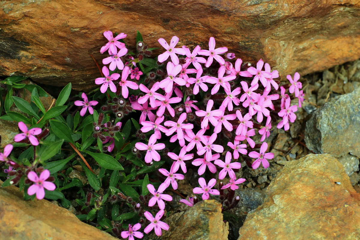 2015_06_14_003001p_Bildgr��e �ndern