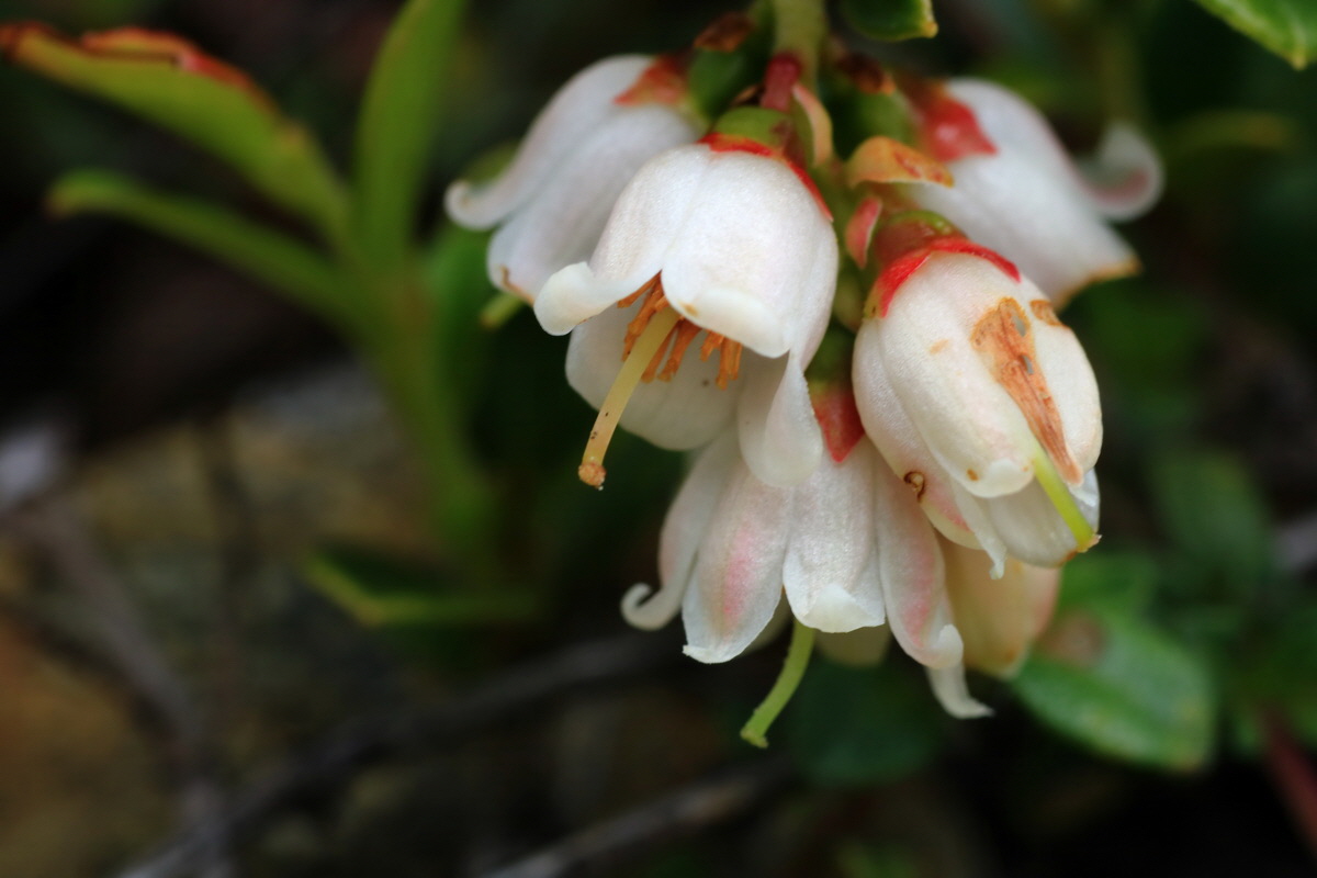 2015_06_14_003010p_Bildgr��e �ndern