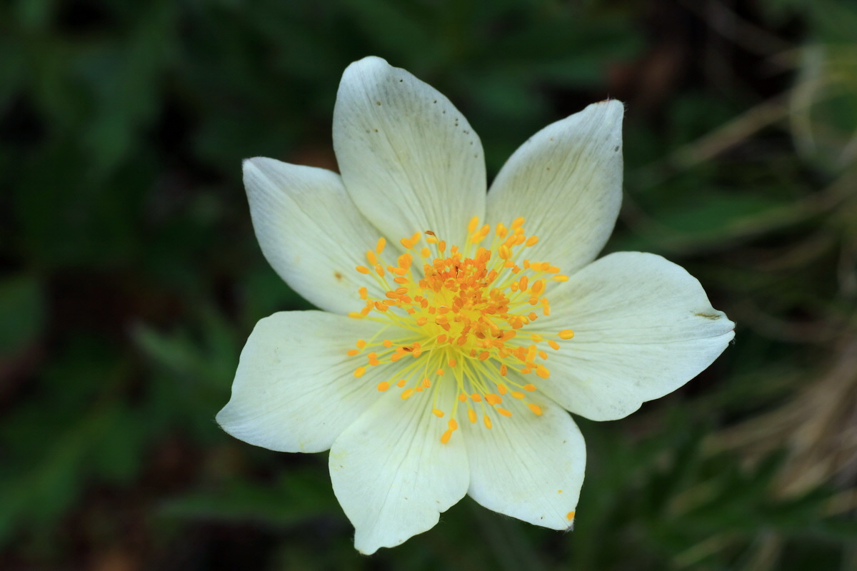 2015_06_14_003014p_Bildgr��e �ndern