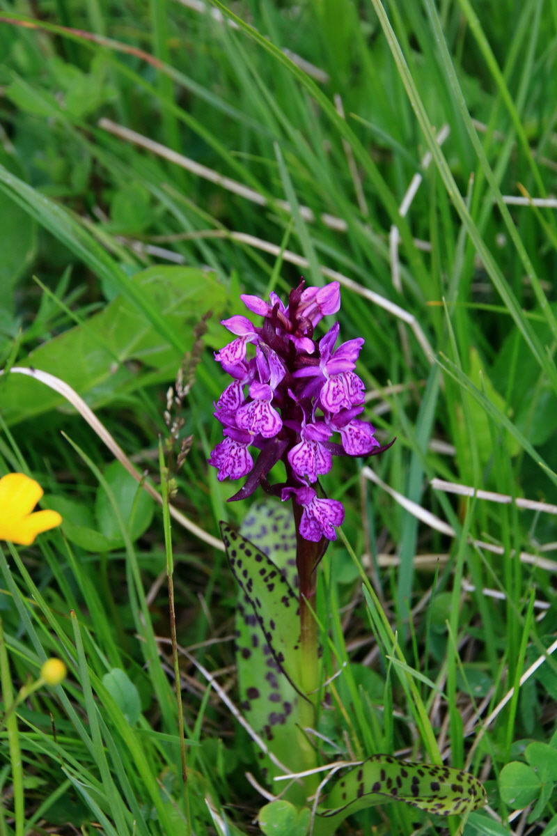 2015_06_14_003038p_Bildgr��e �ndern