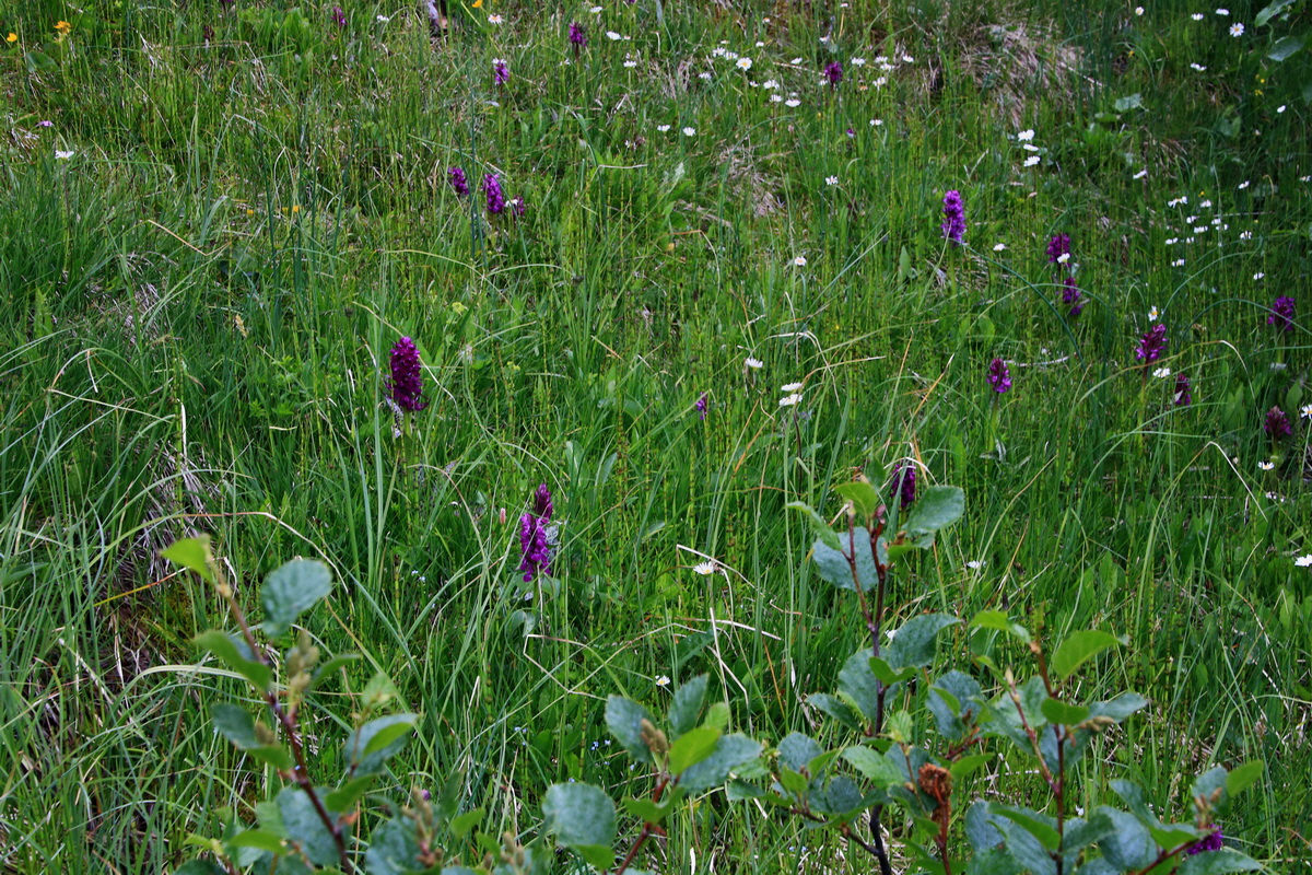 2015_06_14_003039p_Bildgr��e �ndern