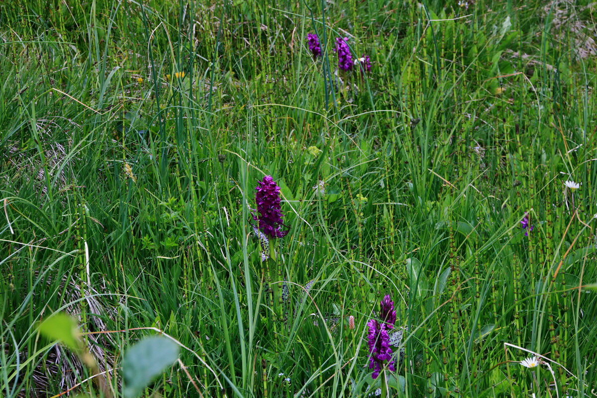 2015_06_14_003044p_Bildgr��e �ndern