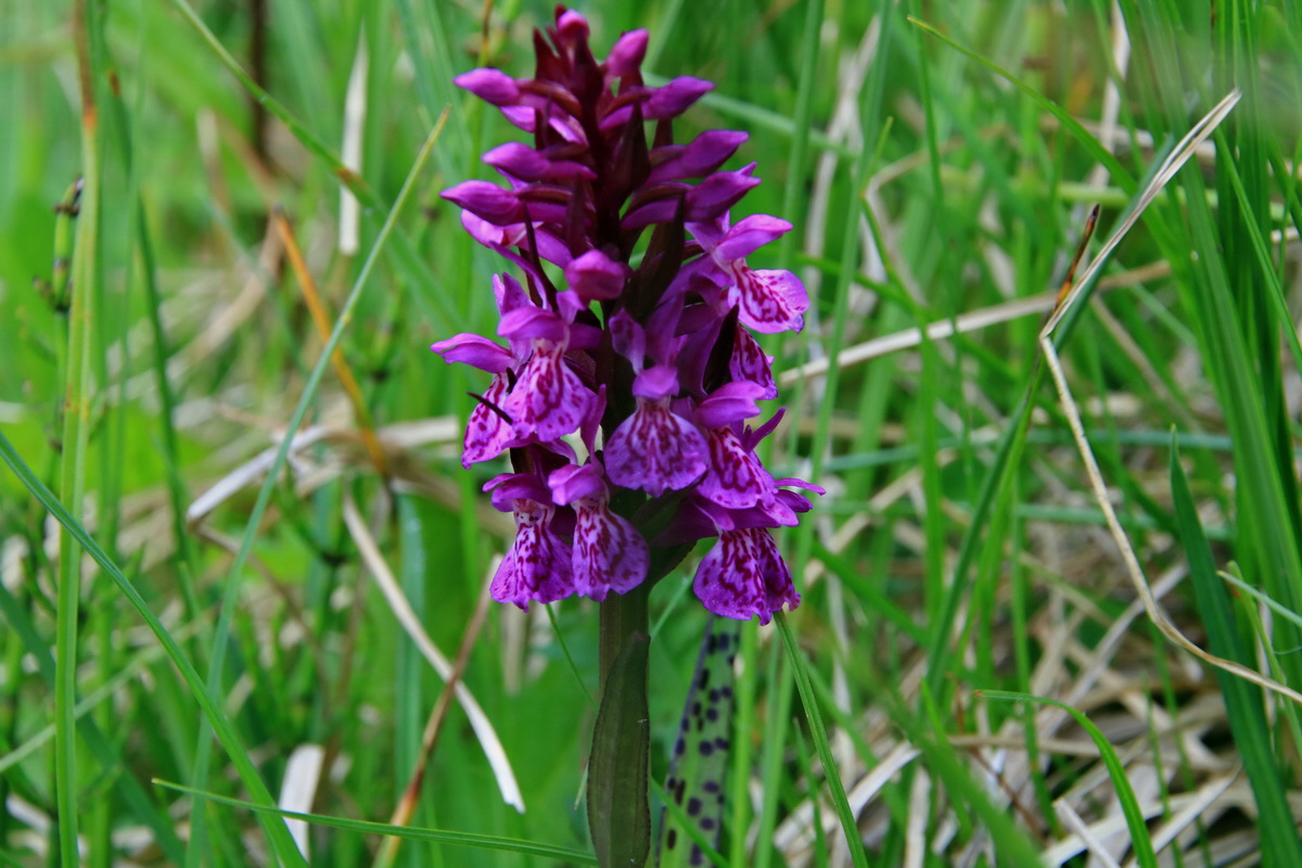 2015_06_14_003049p_Bildgr��e �ndern