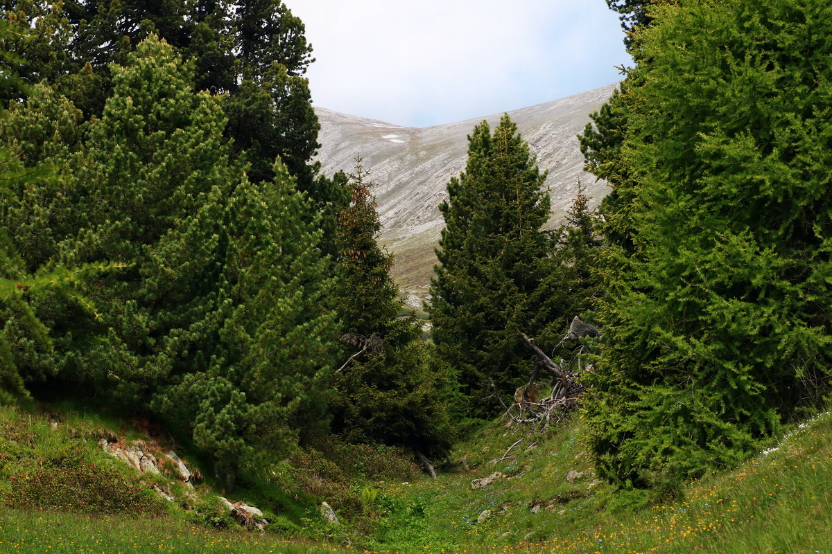 2015_06_14_002958p_Bildgr��e �ndern