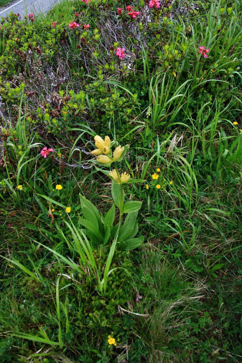 2015_06_15_003136p_Bildgr��e �ndern