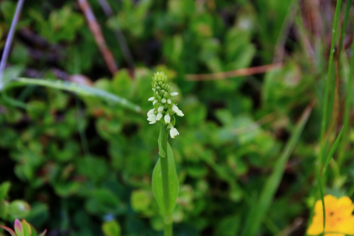 2015_06_15_003142p_Bildgr��e �ndern