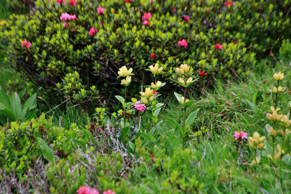 2015_06_15_003147p_Bildgr��e �ndern