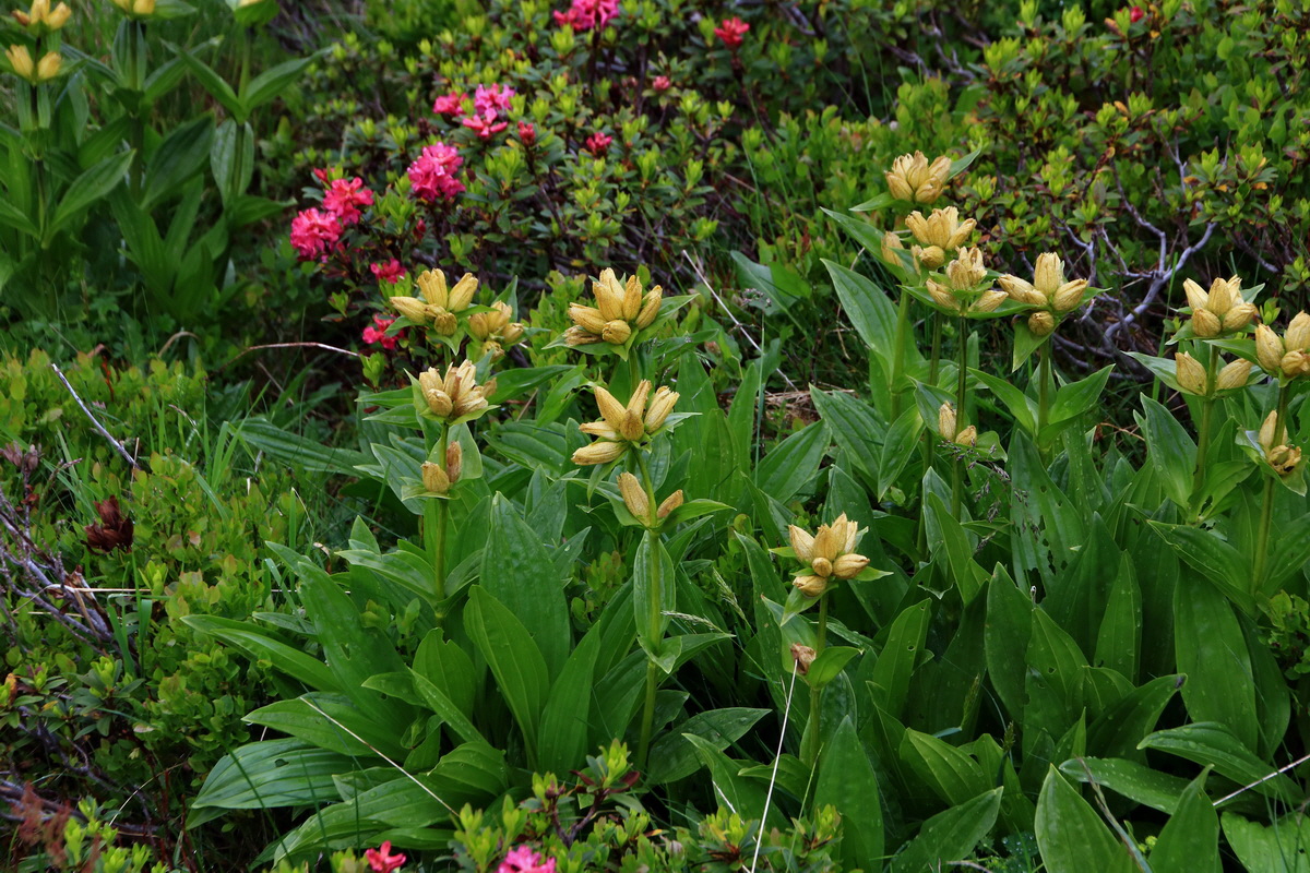 2015_06_15_003152p_Bildgr��e �ndern