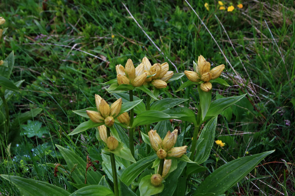 2015_06_15_003155p_Bildgr��e �ndern