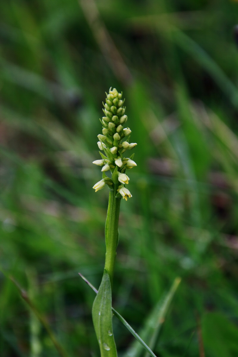 2015_06_15_003162p_Bildgr��e �ndern