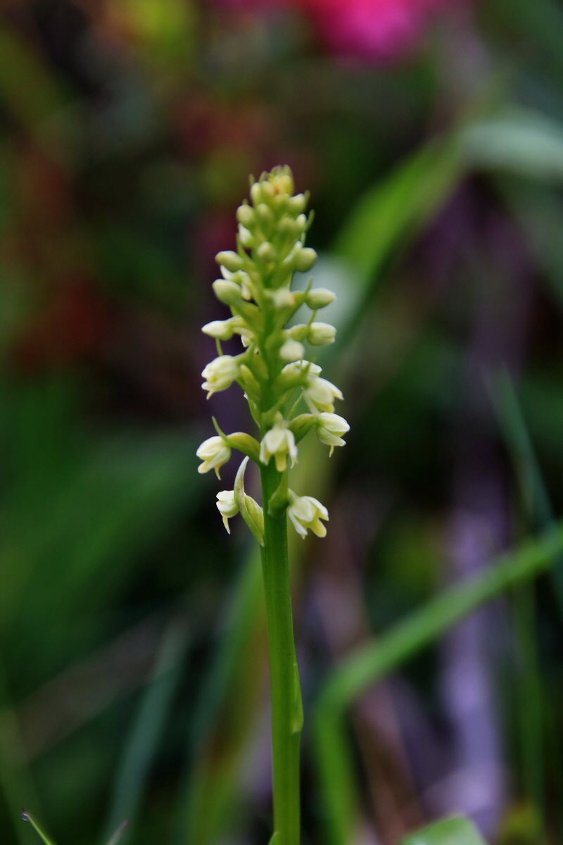 2015_06_15_003167p_Bildgr��e �ndern