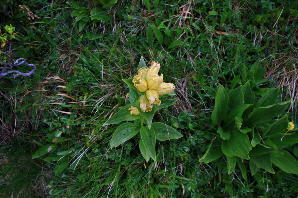 2015_06_15_003176p_Bildgr��e �ndern