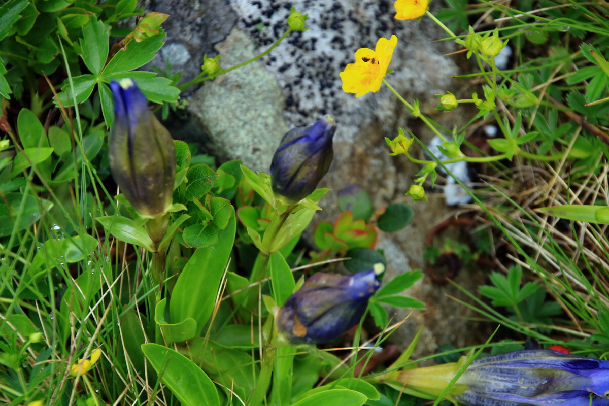 2015_06_15_003178p_Bildgr��e �ndern