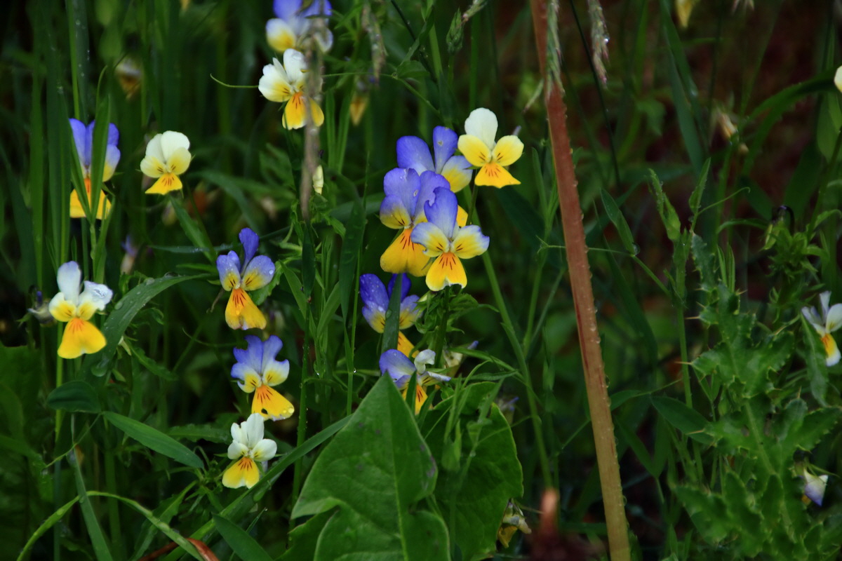 2015_06_16_003190p_Bildgr��e �ndern