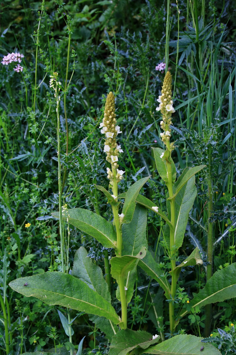 2015_06_16_003195p_Bildgr��e �ndern