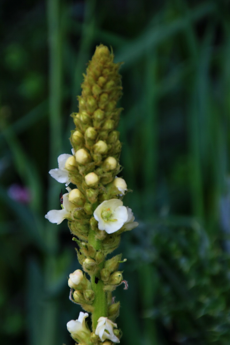 2015_06_16_003197p_Bildgr��e �ndern