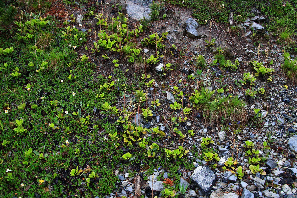 2015_06_16_003199p_Bildgr��e �ndern