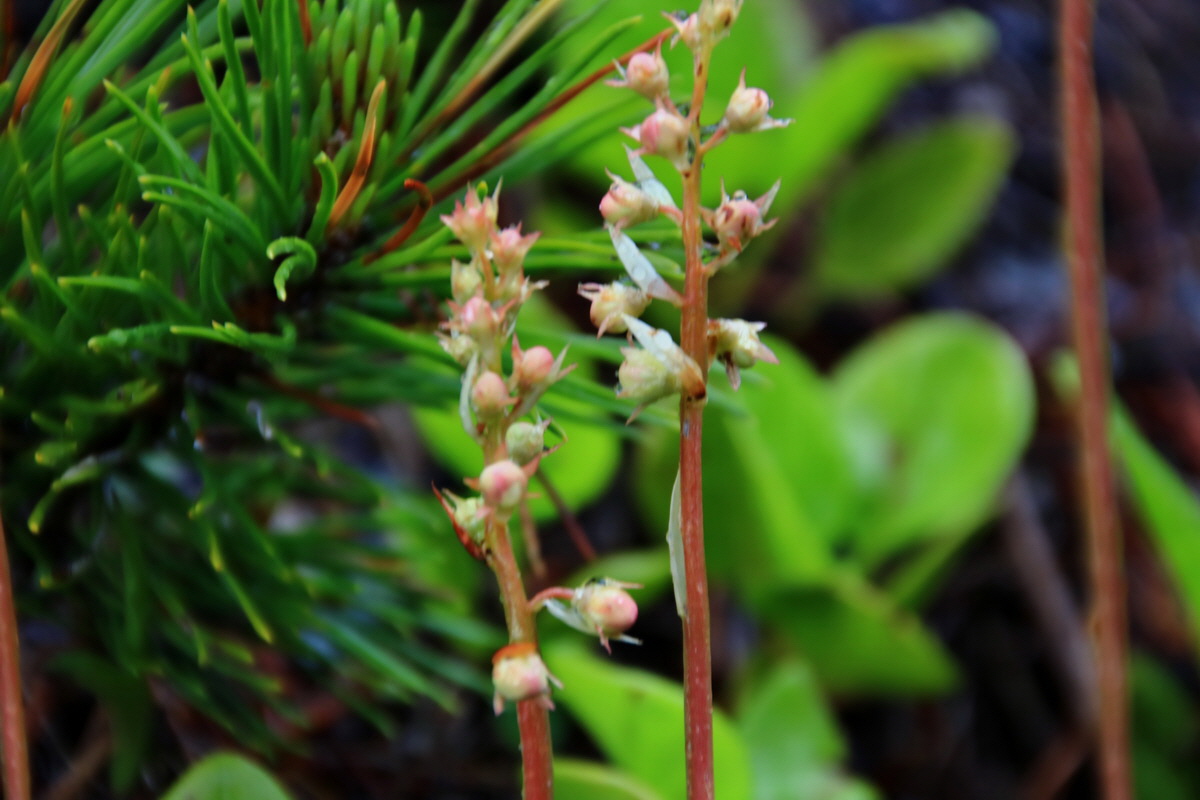 2015_06_16_003203p_Bildgr��e �ndern