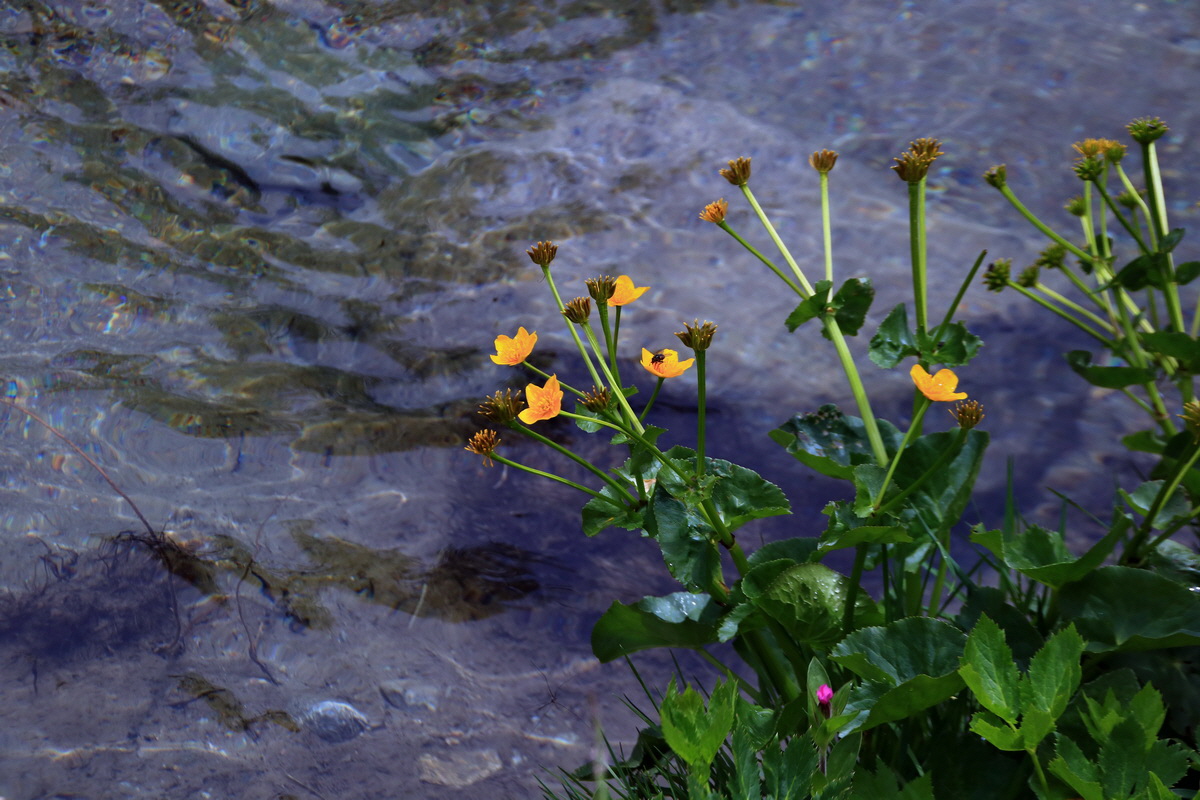 2015_06_16_003210p_Bildgr��e �ndern