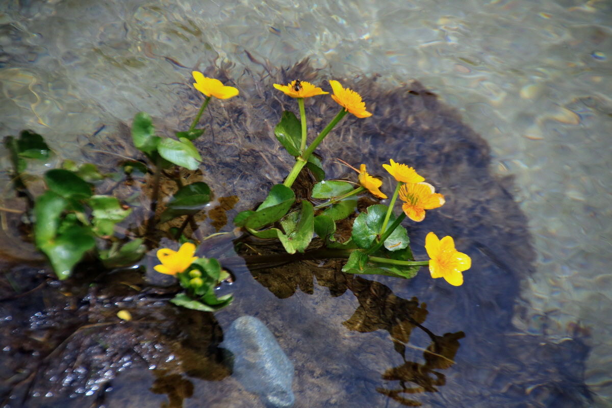 2015_06_16_003213p_Bildgr��e �ndern