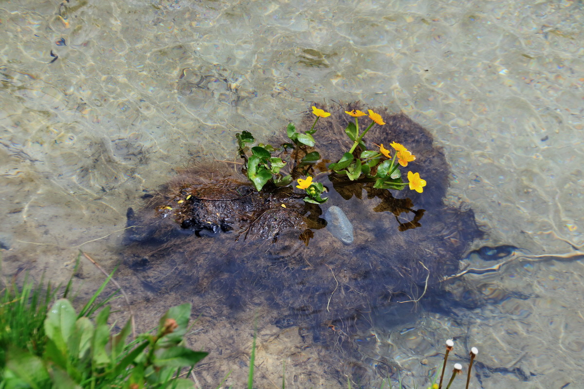 2015_06_16_003216p_Bildgr��e �ndern