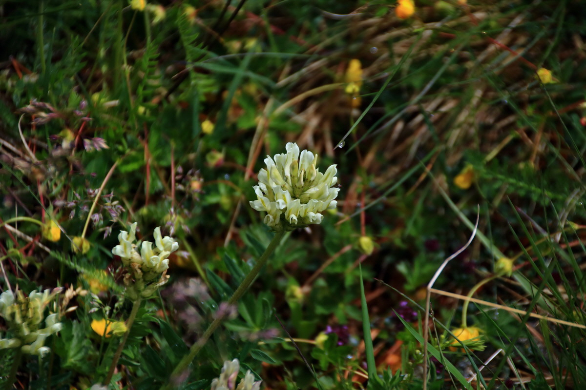 2015_06_16_003219p_Bildgr��e �ndern