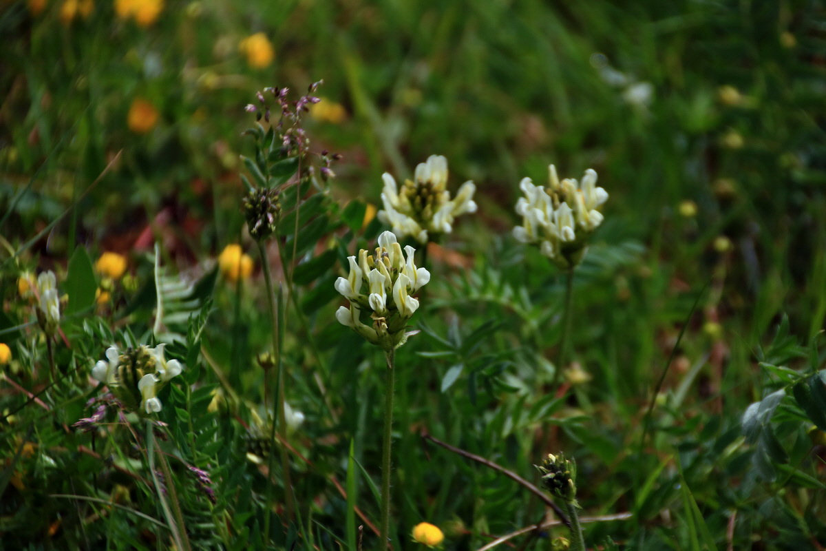 2015_06_16_003221p_Bildgr��e �ndern