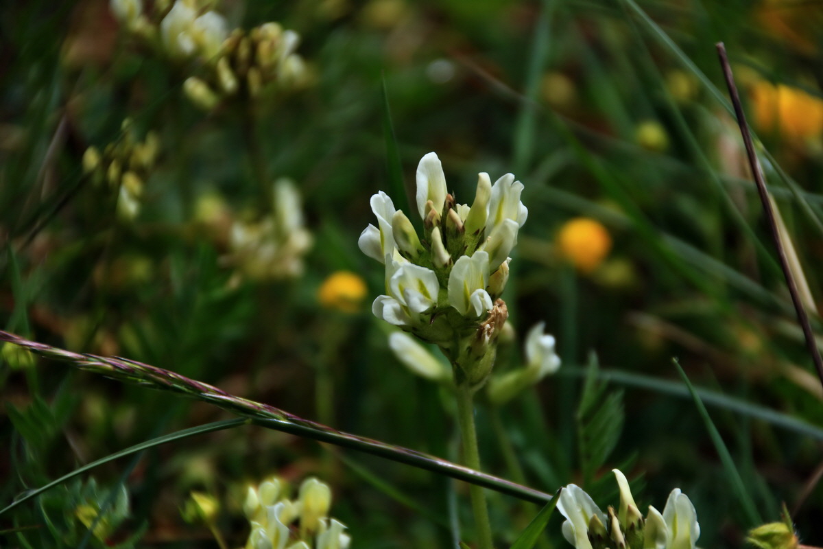 2015_06_16_003224p_Bildgr��e �ndern