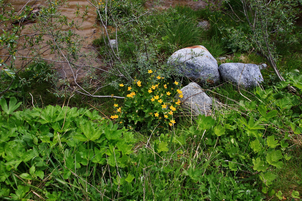 2015_06_16_003229p_Bildgr��e �ndern