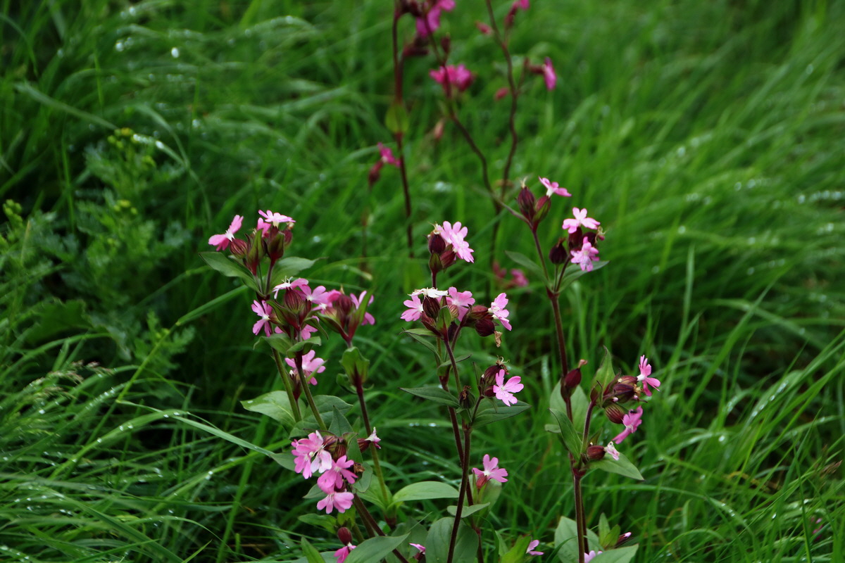 2015_06_16_003235p_Bildgr��e �ndern