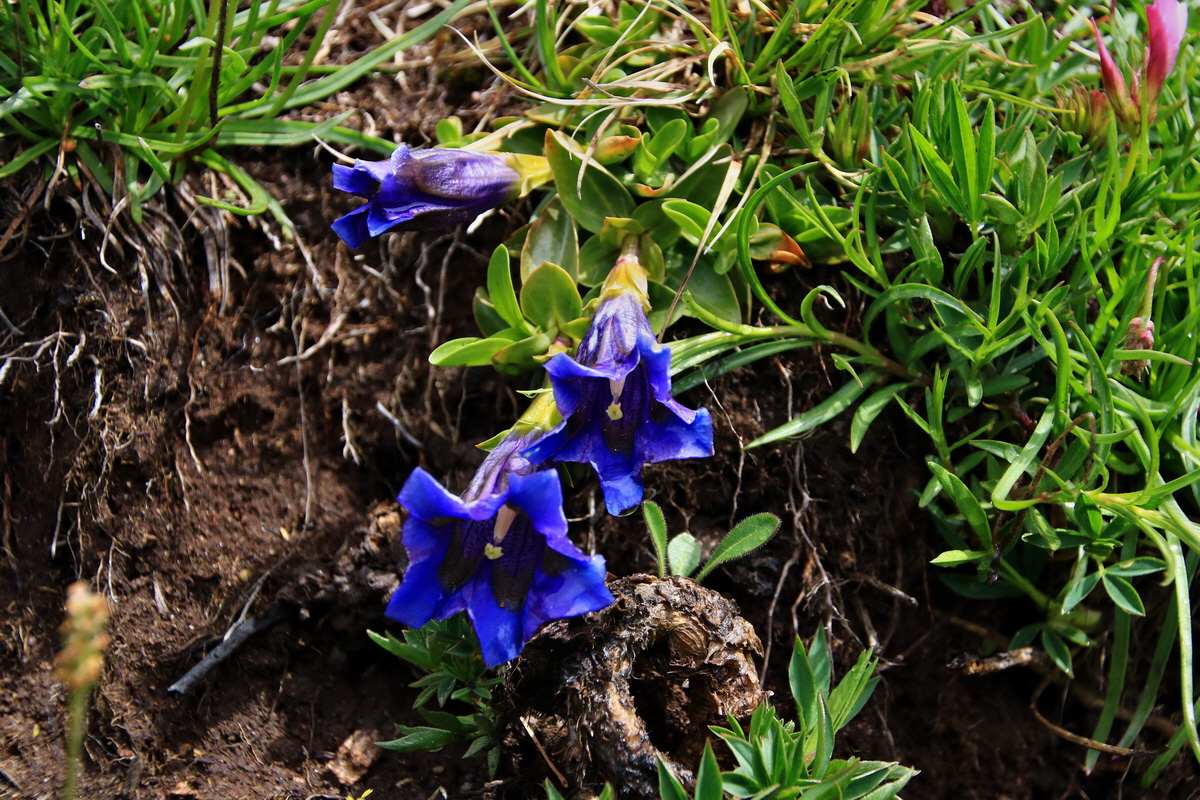 2015_06_16_003342p_Bildgr��e �ndern