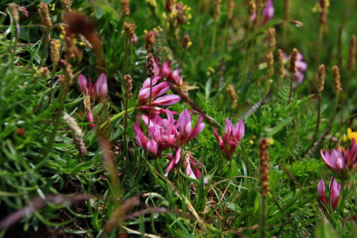 2015_06_16_003344p_Bildgr��e �ndern