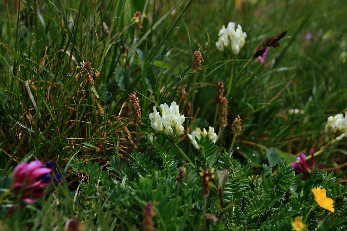 2015_06_16_003347p_Bildgr��e �ndern