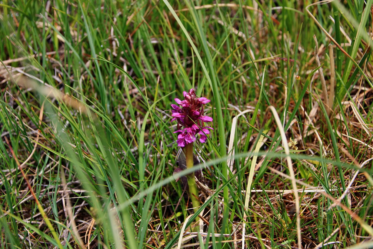 2015_06_16_003350p_Bildgr��e �ndern