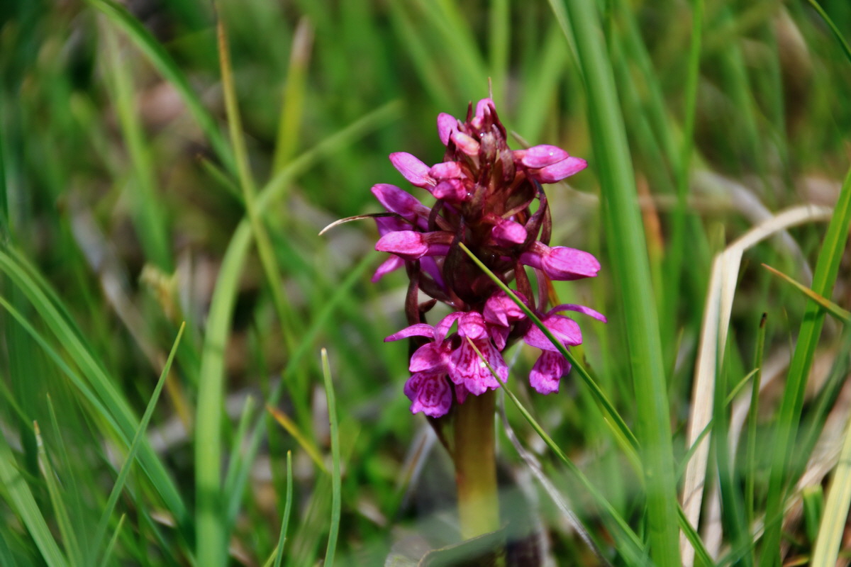 2015_06_16_003352p_Bildgr��e �ndern