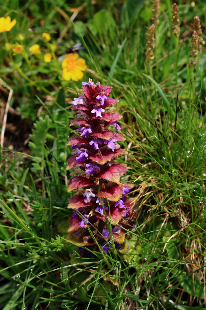 2015_06_16_003353p_Bildgr��e �ndern