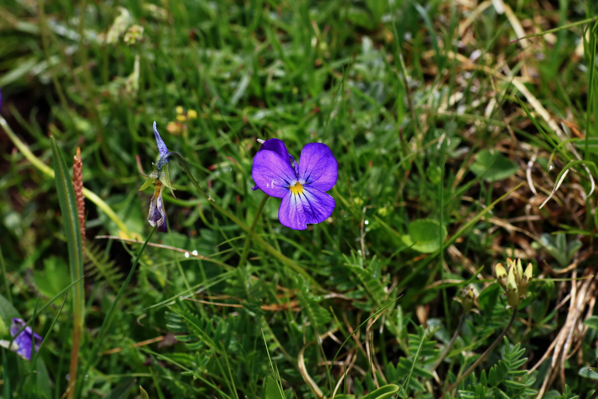 2015_06_16_003358p_Bildgr��e �ndern