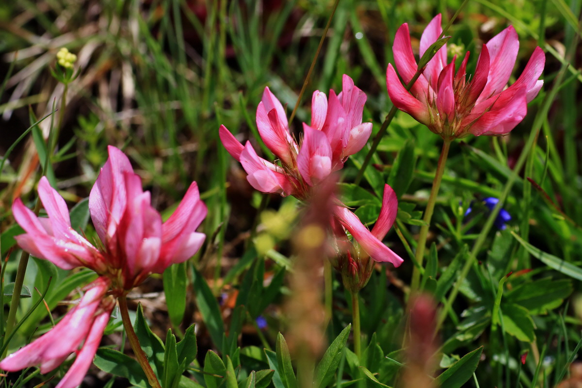 2015_06_16_003361p_Bildgr��e �ndern