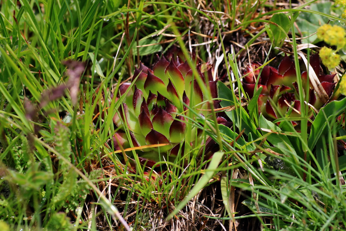 2015_06_16_003363p_Bildgr��e �ndern