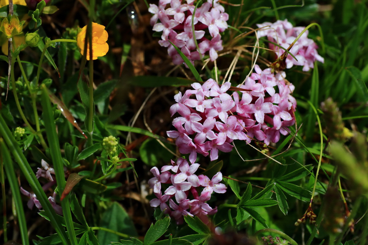 2015_06_16_003366p_Bildgr��e �ndern