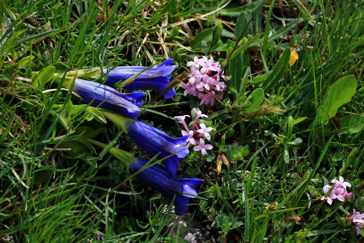 2015_06_16_003370p_Bildgr��e �ndern