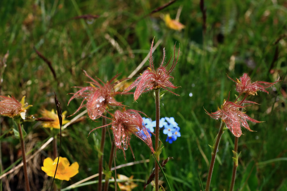 2015_06_16_003373p_Bildgr��e �ndern