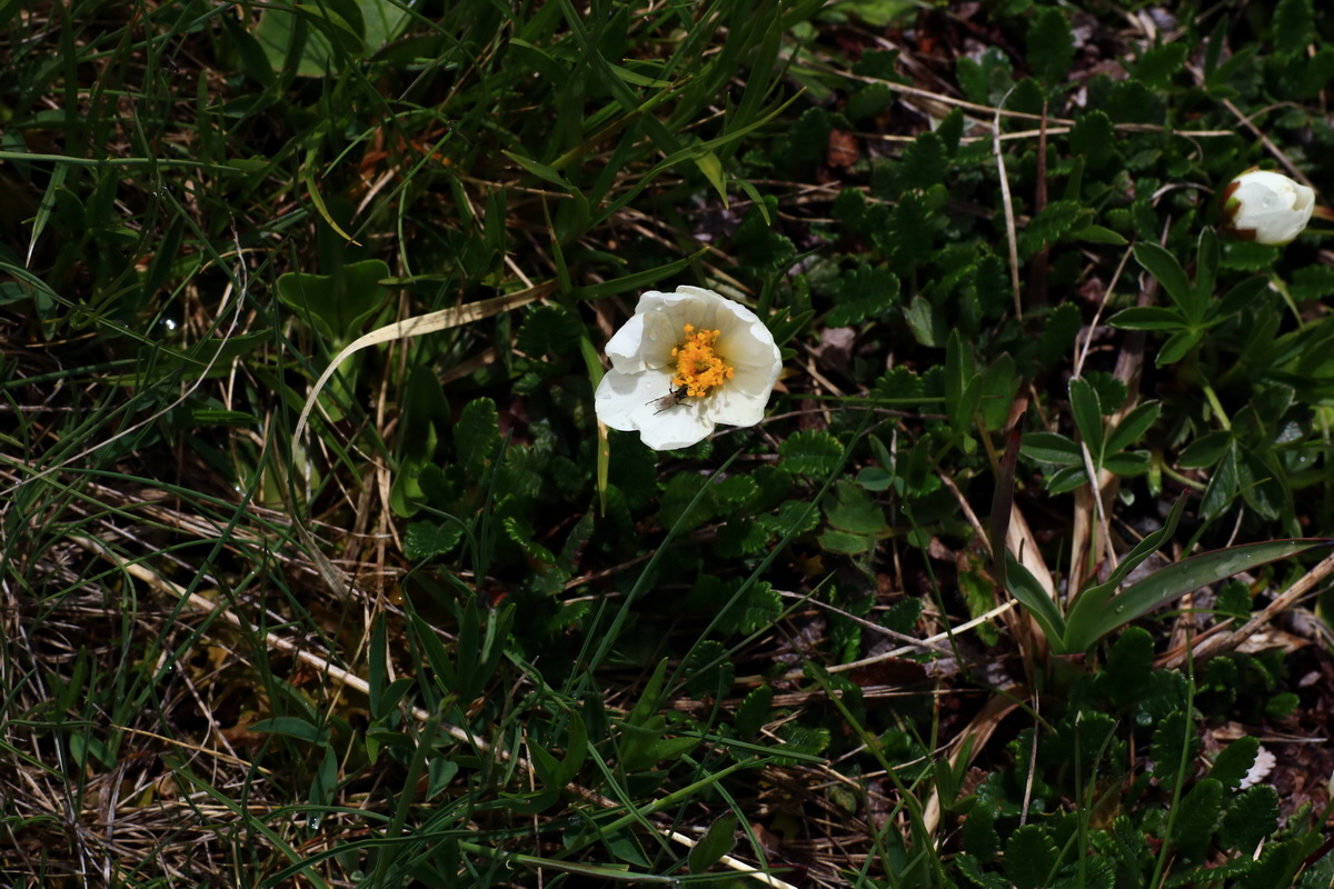 2015_06_16_003379p_Bildgr��e �ndern