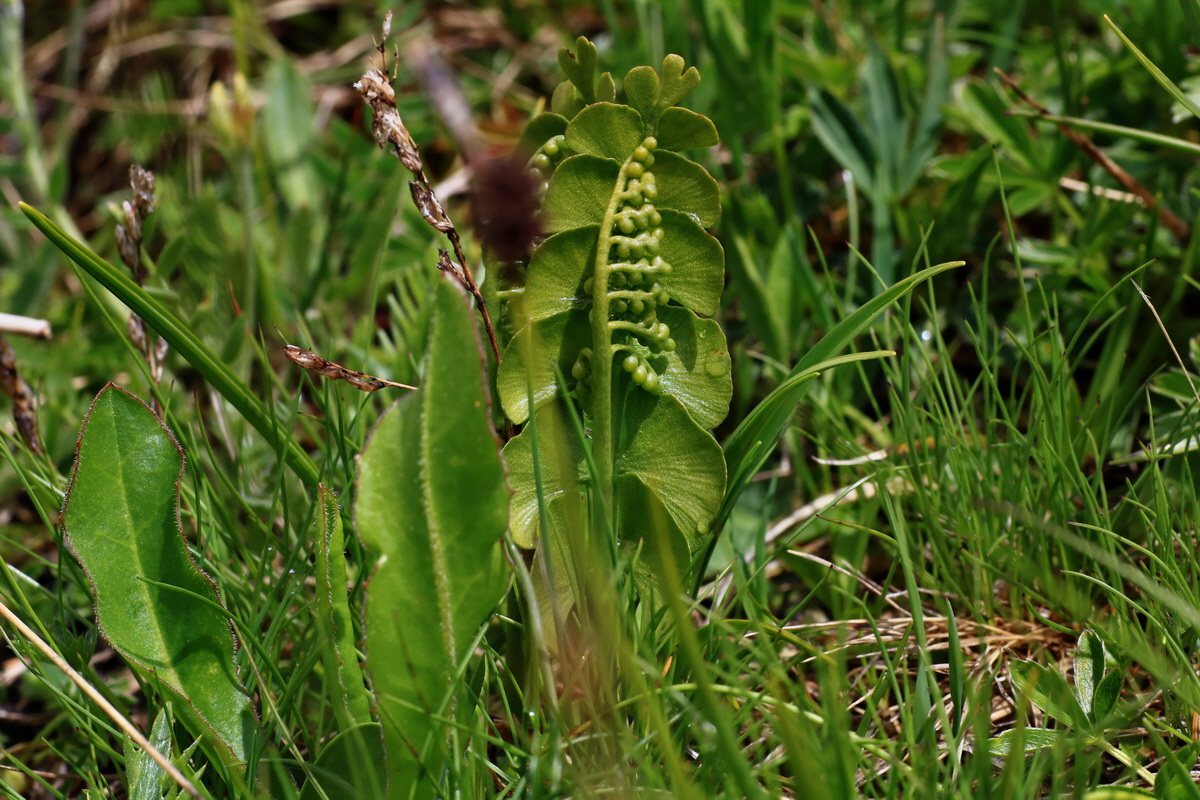 2015_06_16_003383p_Bildgr��e �ndern