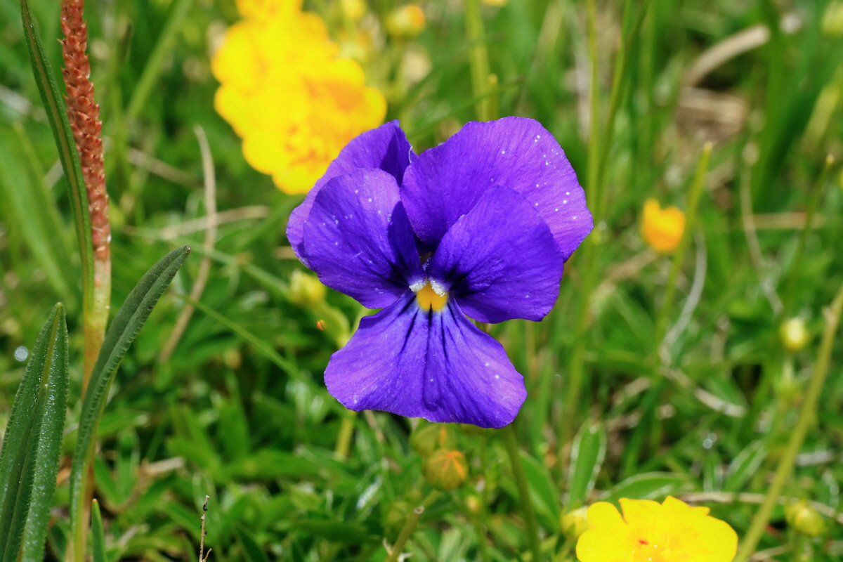 2015_06_16_003384p_Bildgr��e �ndern