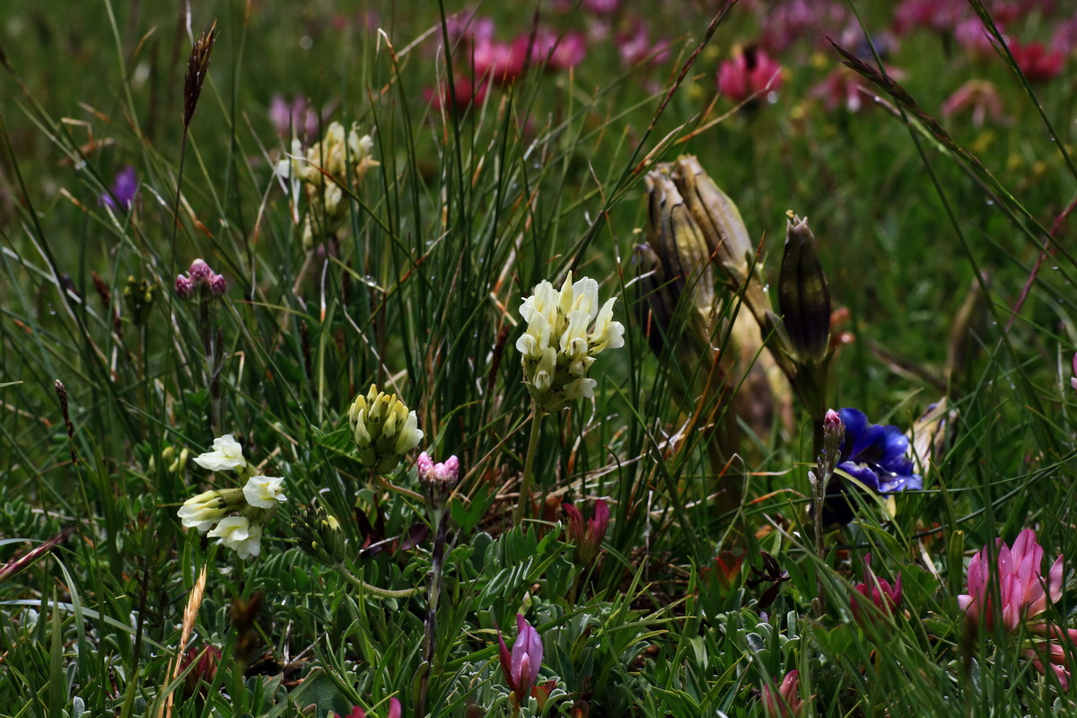 2015_06_16_003387p_Bildgr��e �ndern